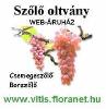 Csemegeszőlő és borszőlő oltvány webáruház Csemegeszőlő és borszőlő oltvány webáruház